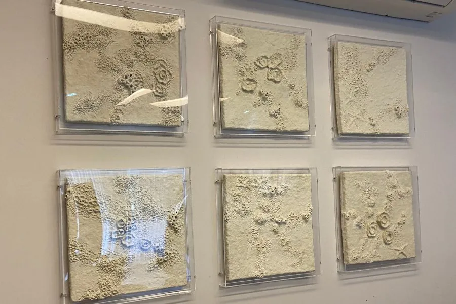 Goa . Galeria objeto arte
