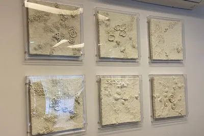 Goa . Galeria objeto arte