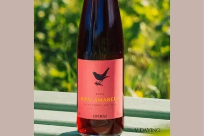 Vida Vino Vinhos e Espumantes