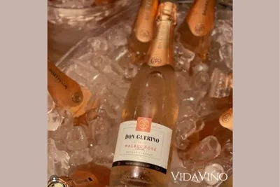 Vida Vino Vinhos e Espumantes