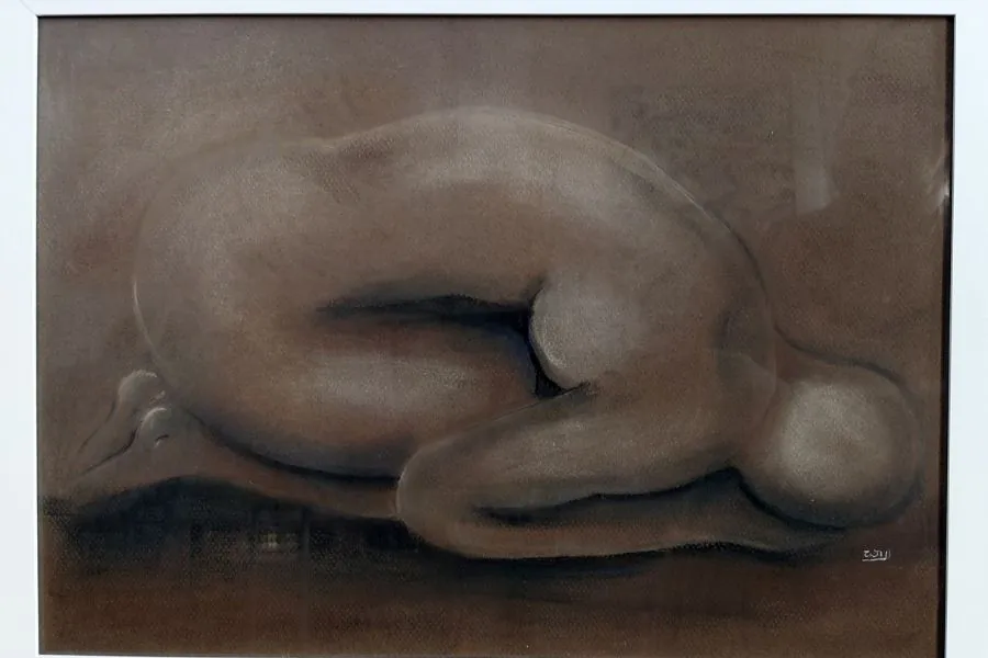 Wil Catarina Artes